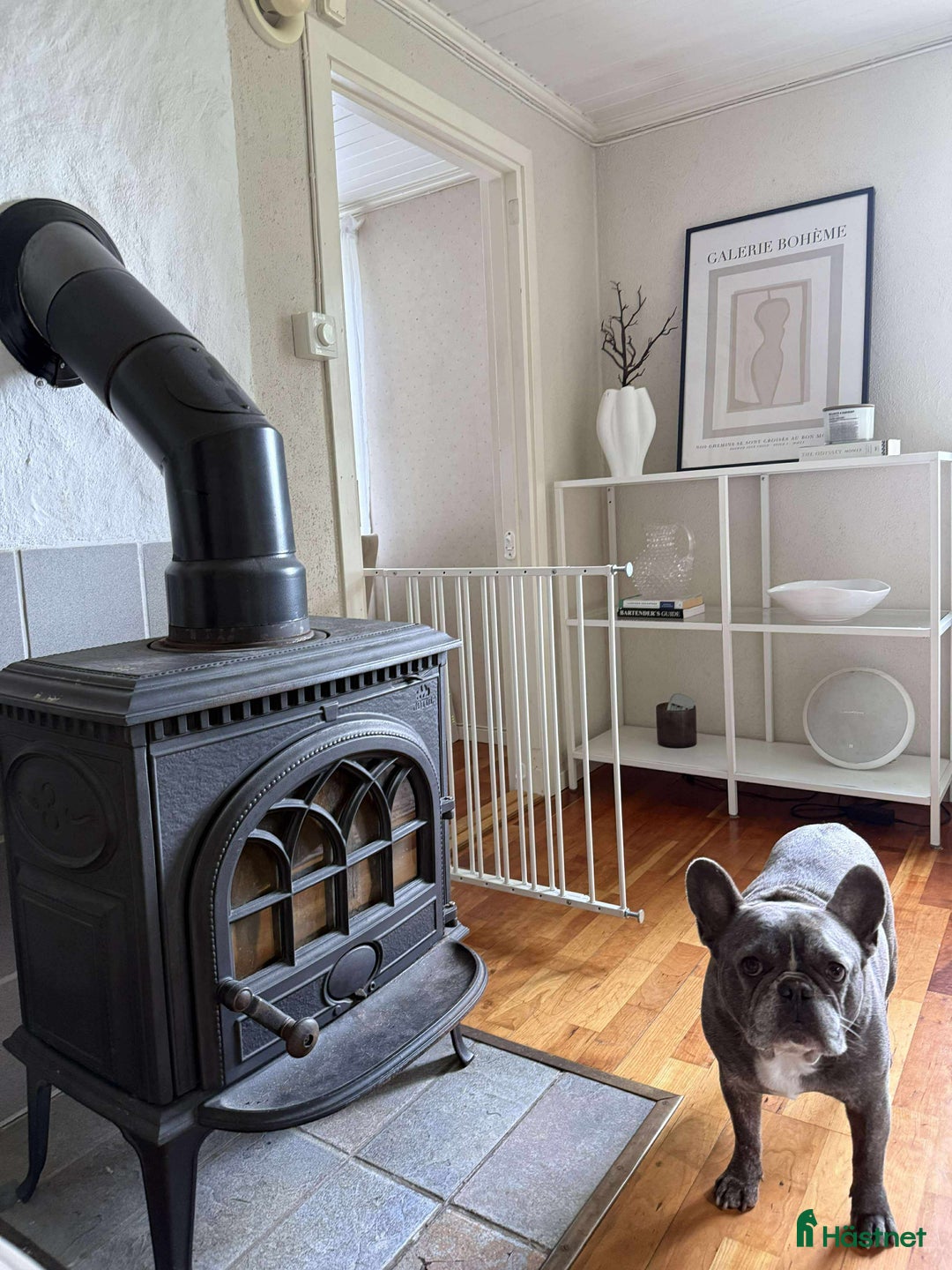  stallplats finnes: Hus på hästgård och stallplatser.  i Ljung - Annons 14