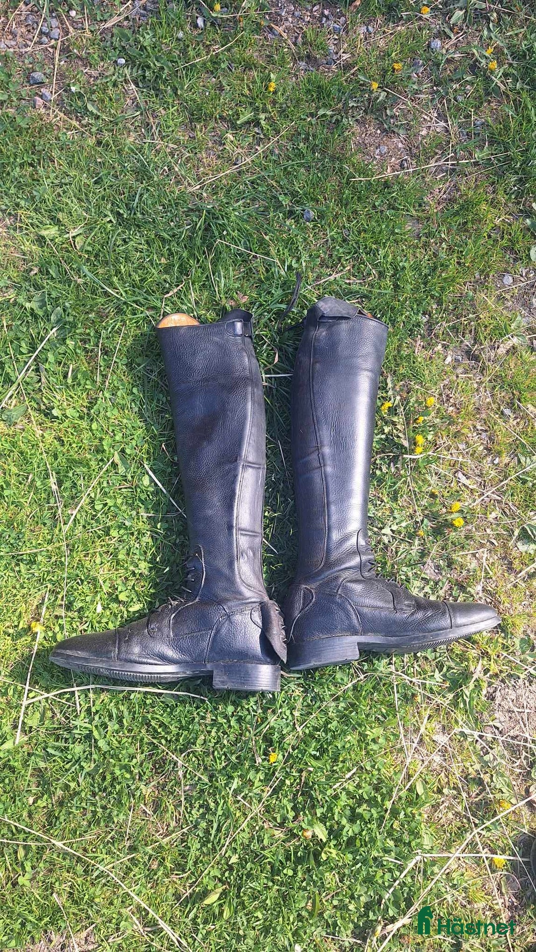 Ridstövlar ryttarutrustning till salu: Fina ridstövlar🤩 i Lidköping - Annons 2