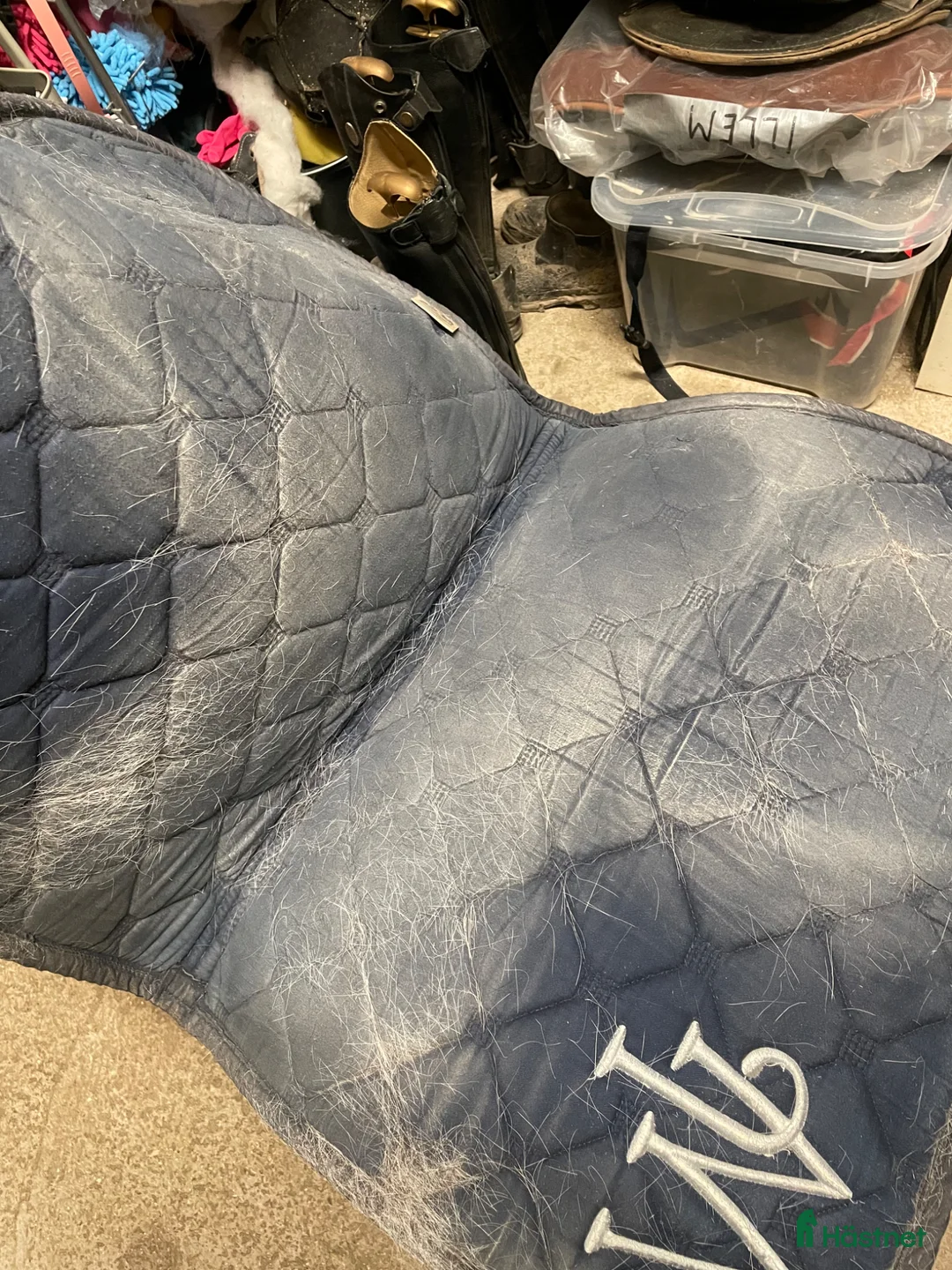 Schabrak & Vojlockar hästutrustning till salu: John Whitaker  - Annons 3