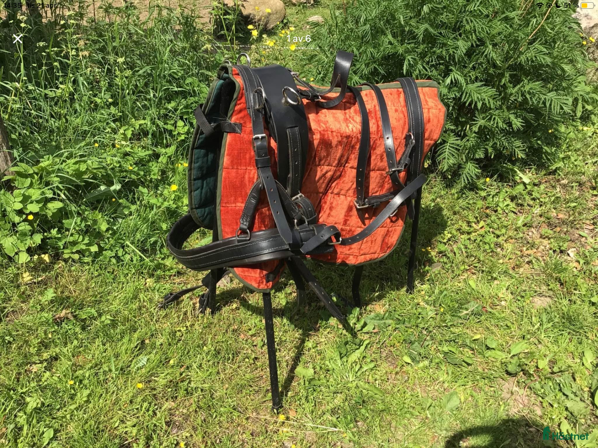 Körselar körning till salu: Bröstsele Shetland  - Annons 2