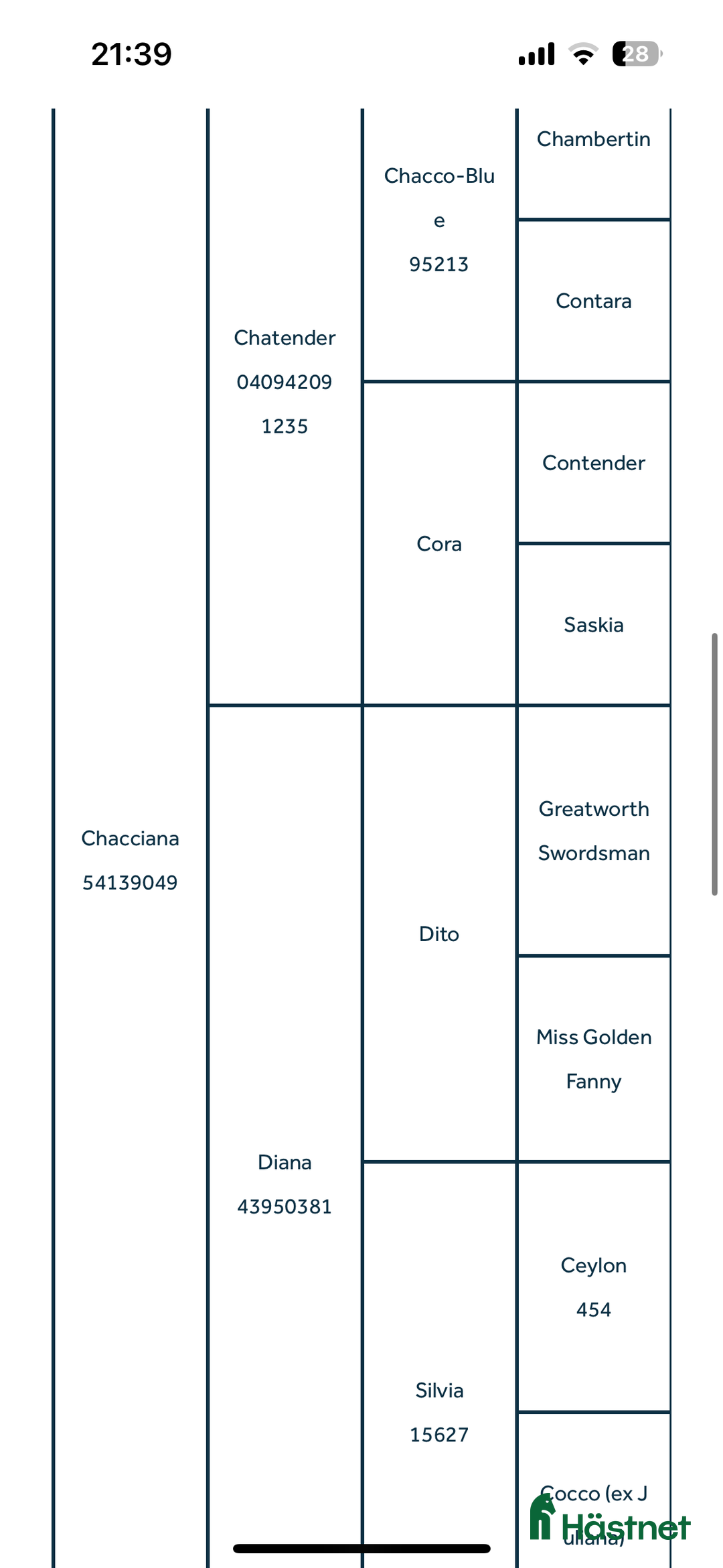 Hoppning hästar till salu: Charmigt hoppsto i Ängelholm - Annons 4