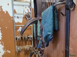 Träns hästutrustning Komplett hackamoreträns - Annons 3