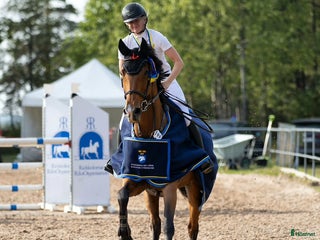 hästar Svår häst med fint hjärta ♥️ i Ösmo - Annons 8