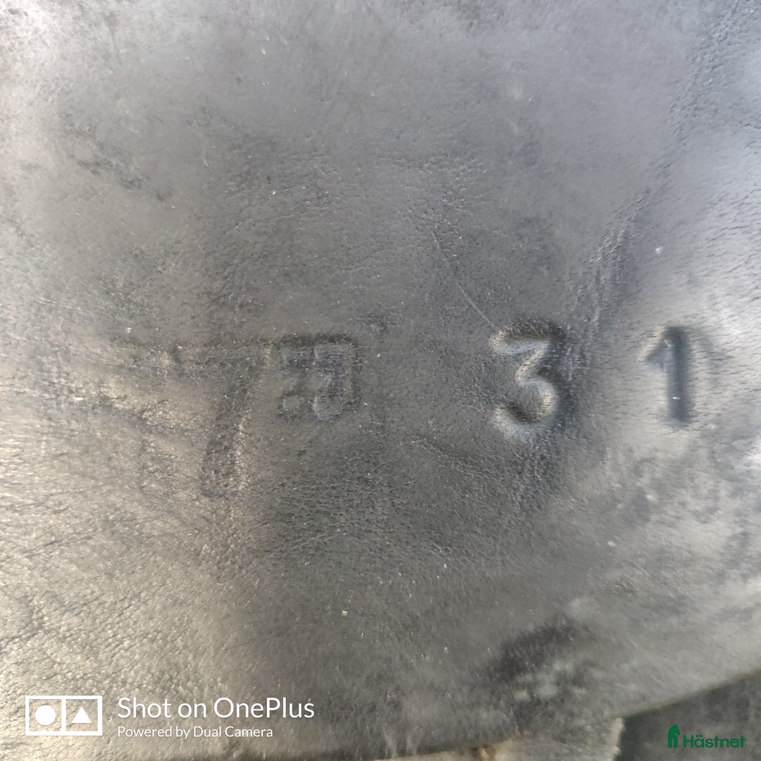 Sadlar hästutrustning till salu: Allround Sadel i Österbybruk - Annons 3