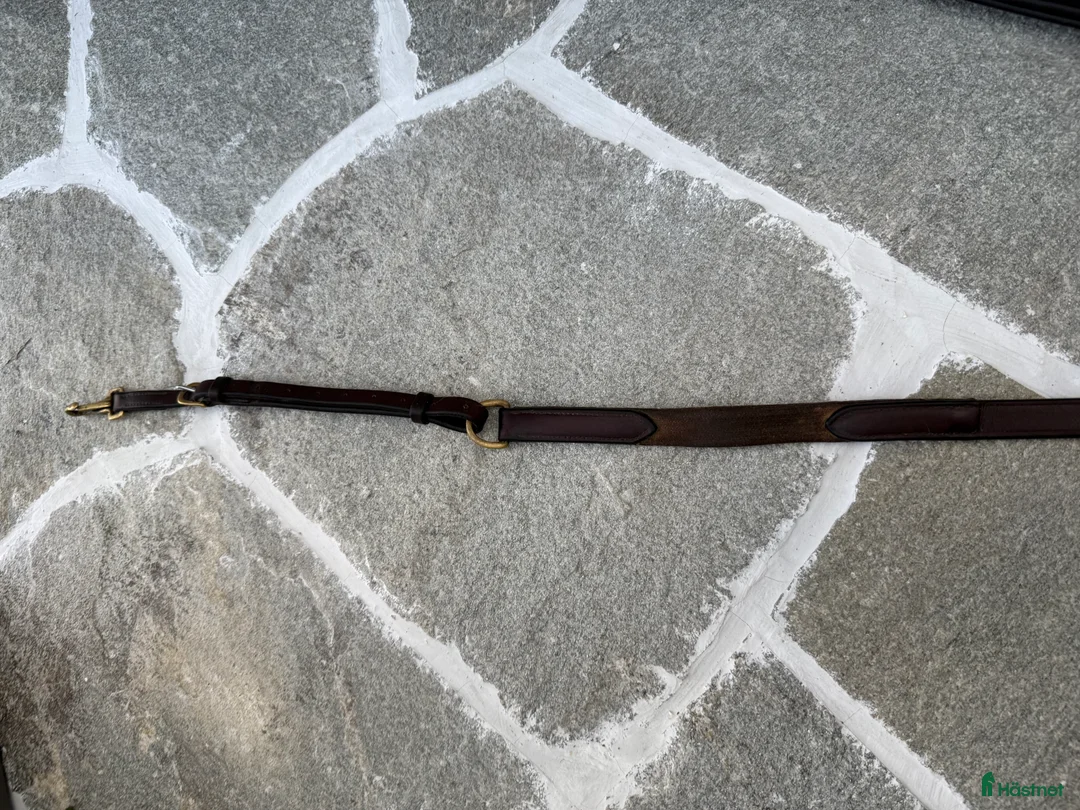 Övrig Hästutrustning hästutrustning till salu: GG brun förbygel med martingal  i Drottningholm - Annons 7