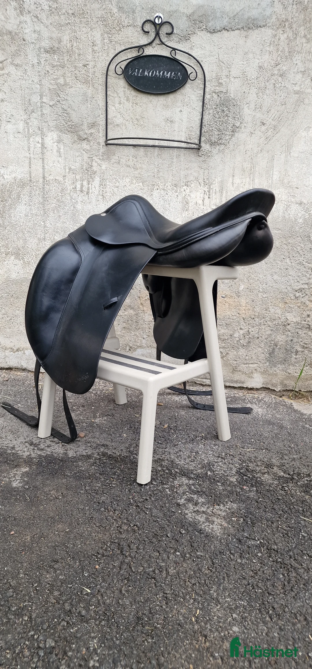 Sadlar hästutrustning till salu: Amerigo Alto i Matfors - Annons 6