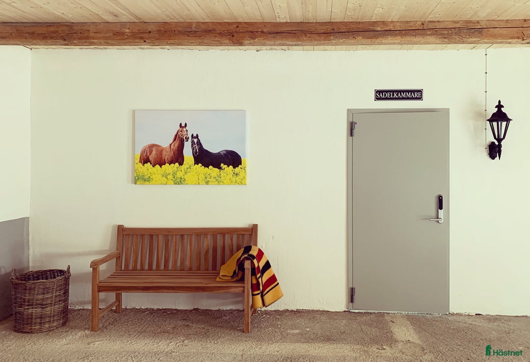  stallplats finnes: Stallplats ledig i Trelleborg - Bild 6