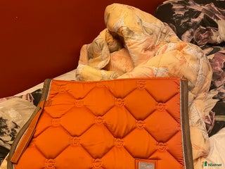 Schabrak & Vojlockar hästutrustning till salu: Säljer Schabrak i Norrtälje - Annons 12