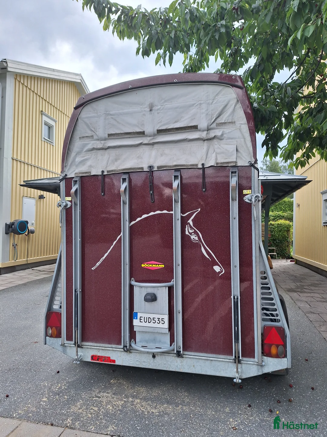 Hästtransporter  fordon & transport till salu: Böckman comfort  i Täby - Annons 5
