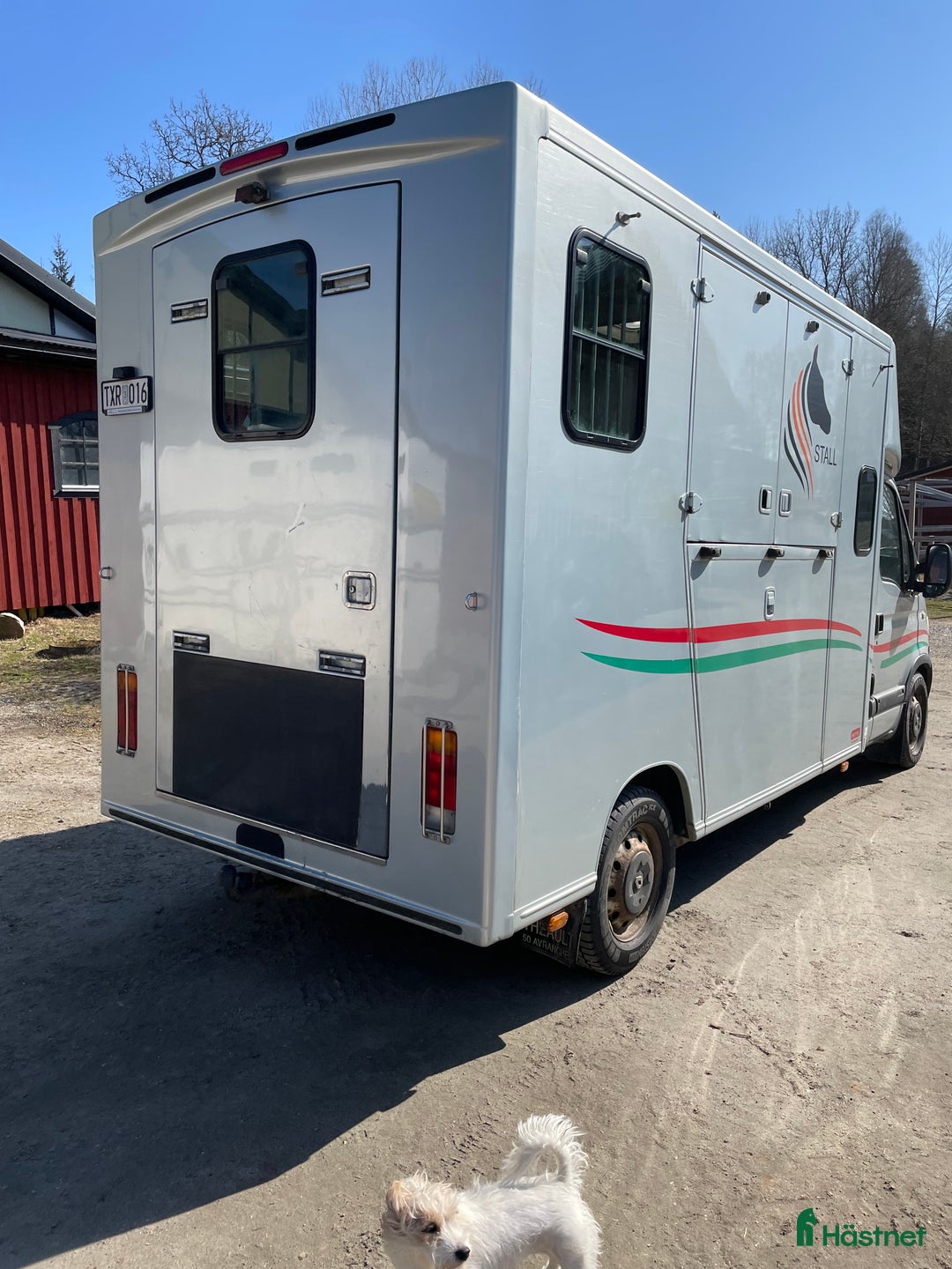 Hästlastbilar  fordon & transport till salu: Renault Master Theahult - Hästlastbil B-korts  i Herrljunga - Annons 5