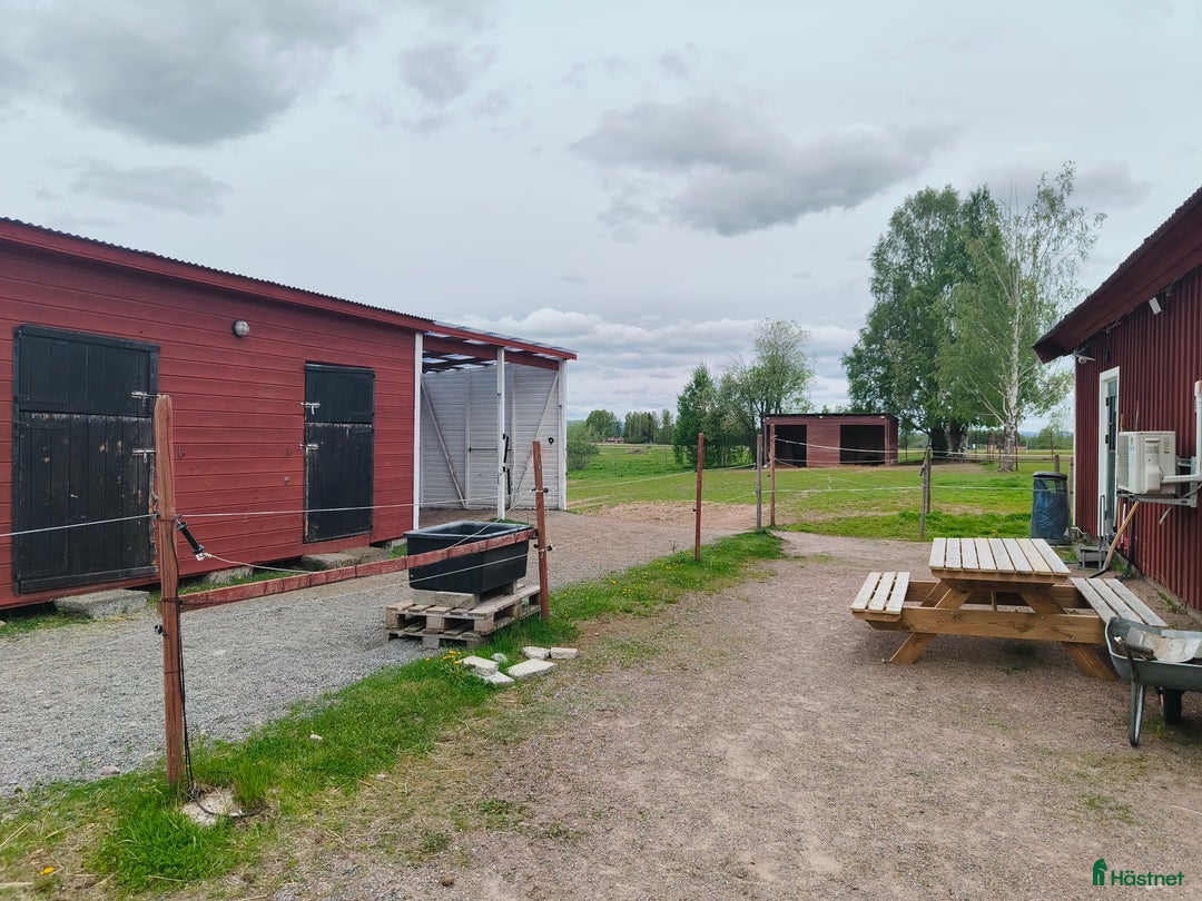  stallplats finnes: stallplats finnes i Borlänge - Annons 5