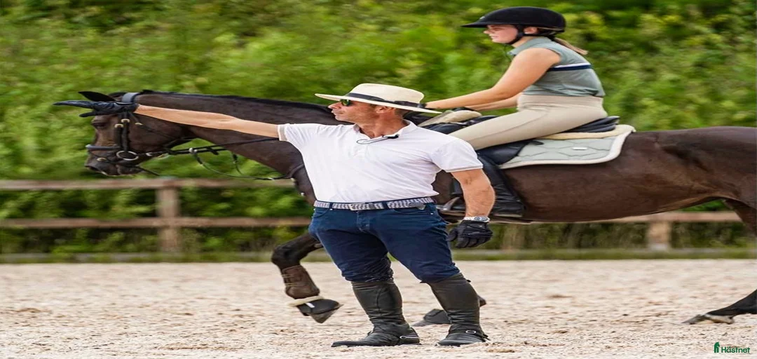 Galleribild {{count}}