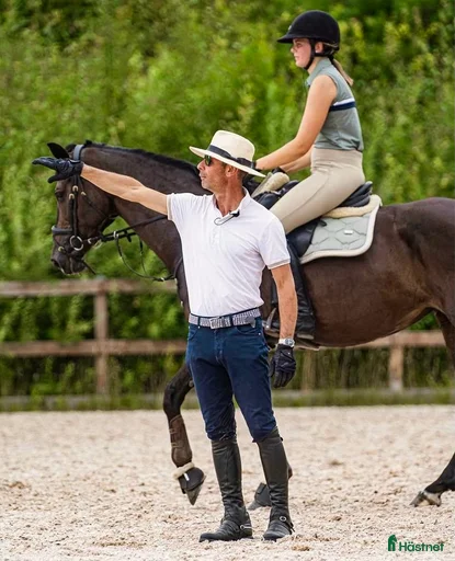 Galleribild {{count}}