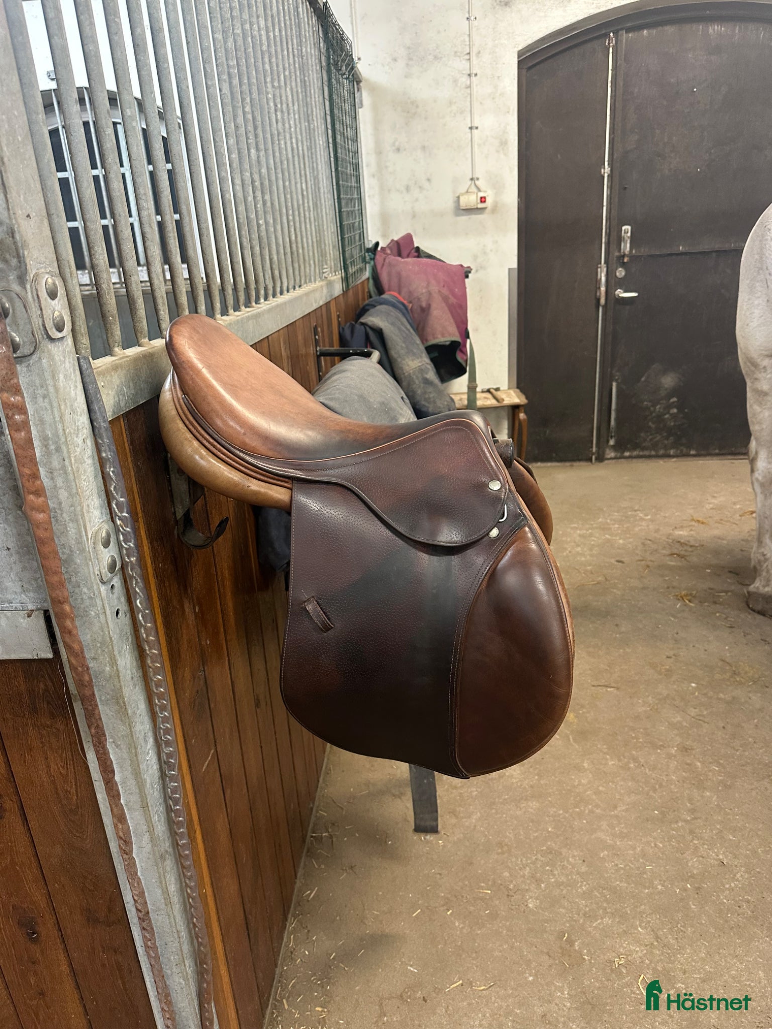 Sadlar hästutrustning equipe linnea expression - Annons 15