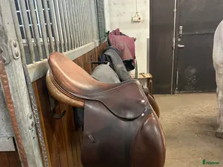 Sadlar hästutrustning equipe linnea expression - Annons 15