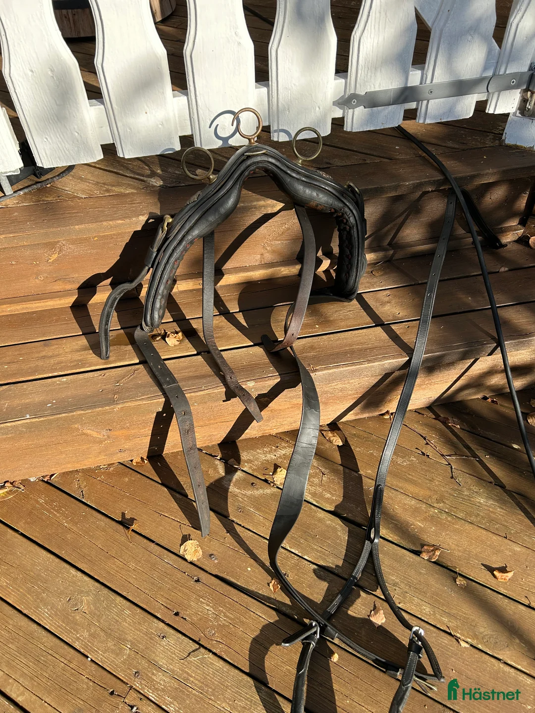 Körselar körning till salu: Extra fin däckel med svanskappa i Karlstad - Annons 2