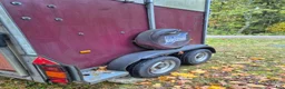 Hästtransporter  fordon & transport till salu: Ifor Williams HB505R - Annons 4