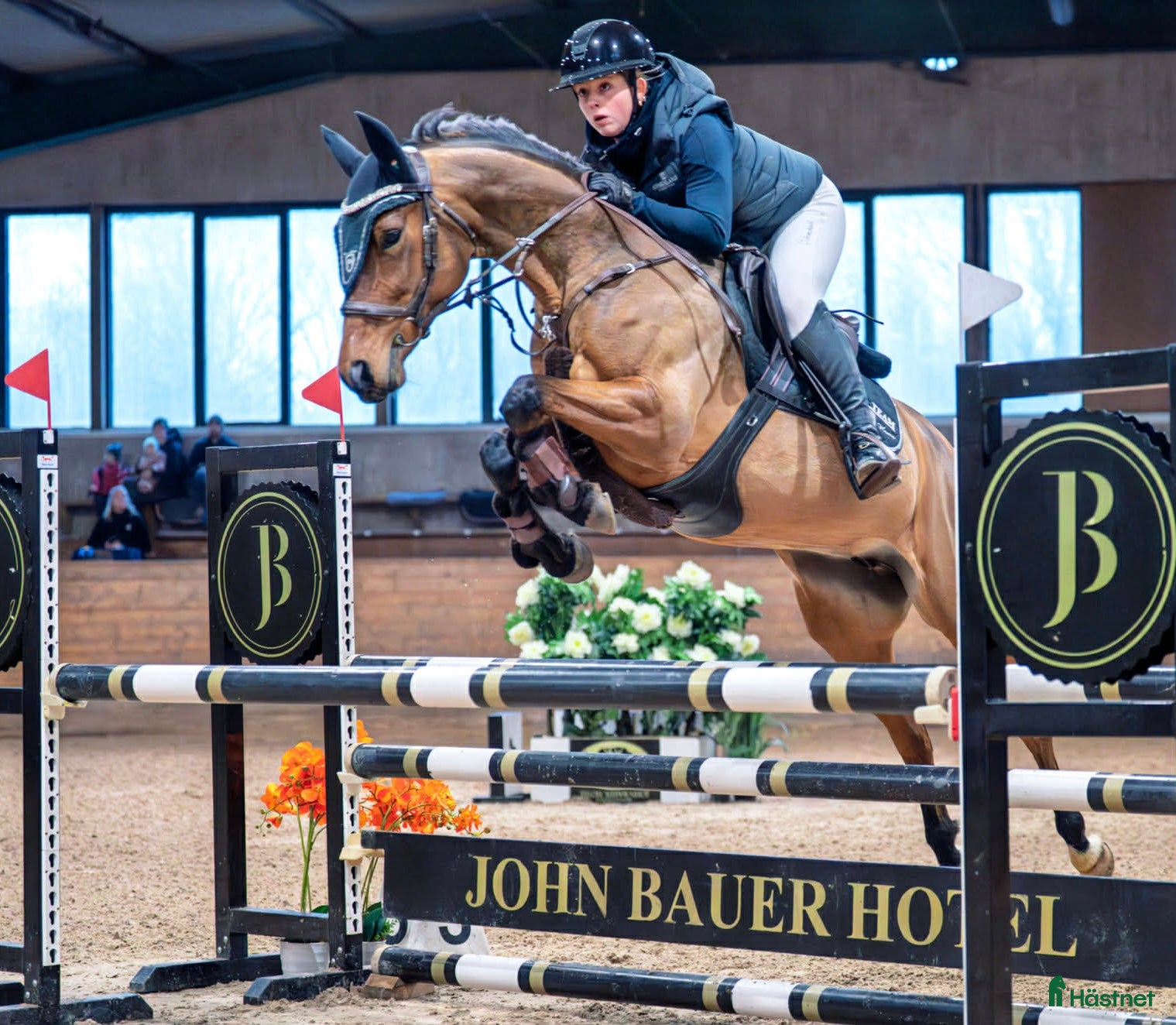  hästar Hopponny för framtiden  - Annons 13