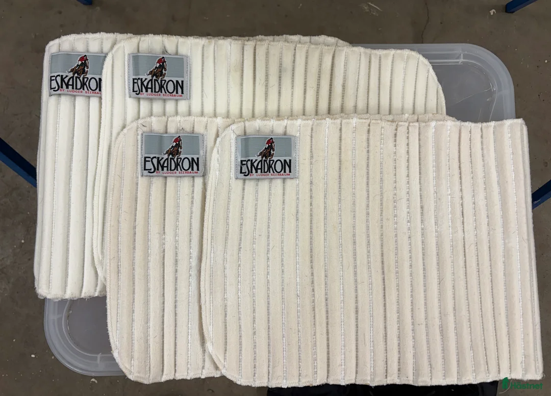 Benskydd hästutrustning till salu: Benpaddar från Eskadron och Mias i Täby - Annons 1