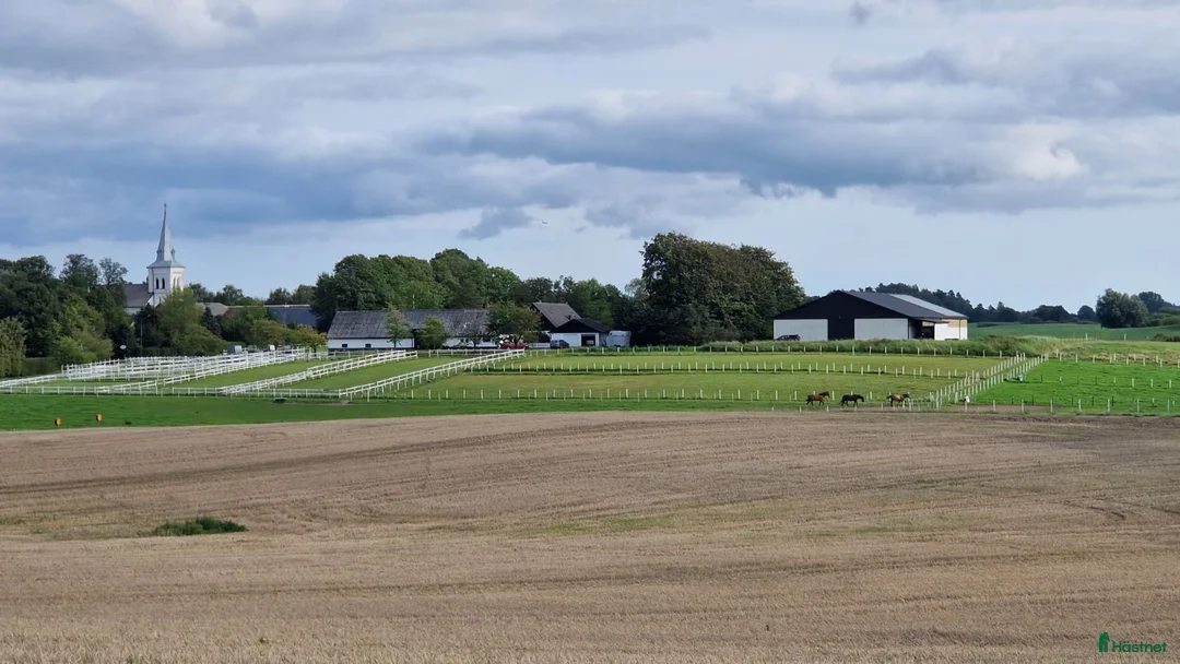  stallplats finnes: Stallplatser i Lyngby-Lund - Annons 1
