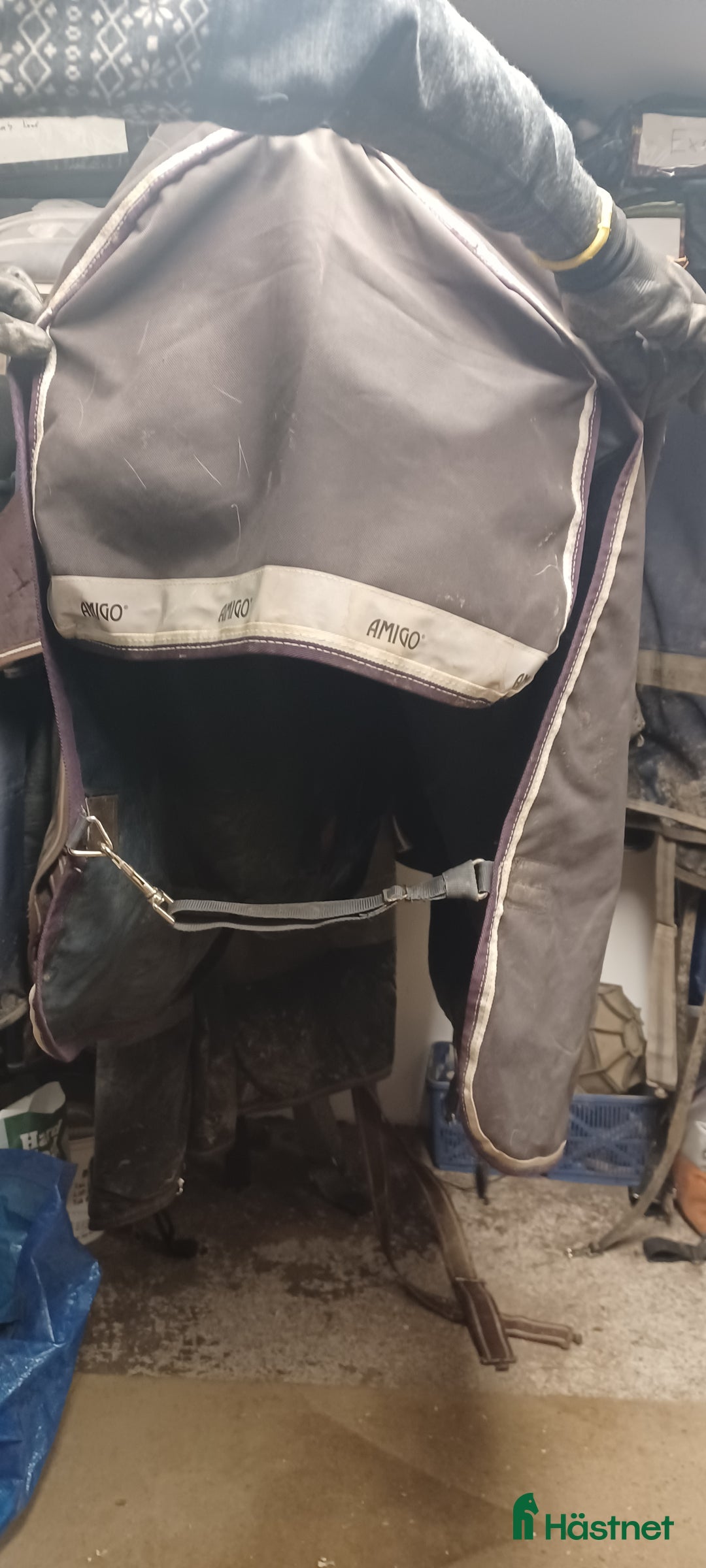 Täcken hästutrustning till salu: Amigo halvhals 0g i Skultuna - Annons 7
