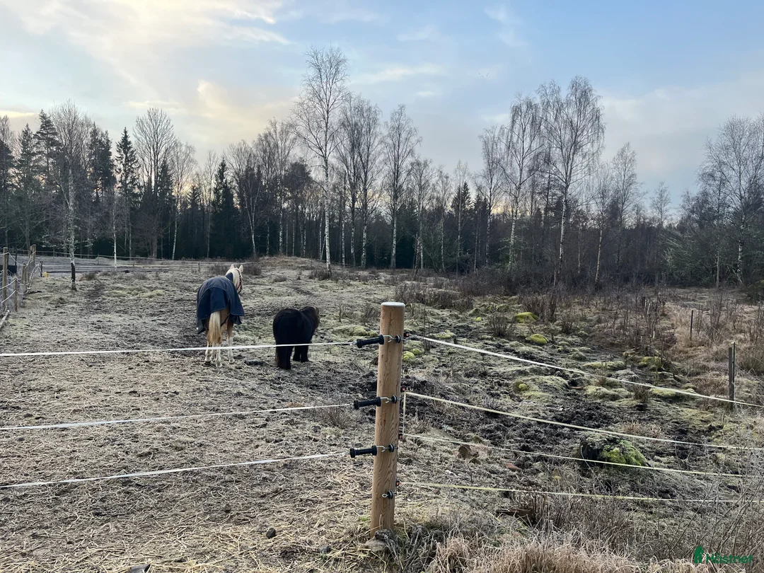  stallplats finnes: Stallplats Nybro - Annons 9