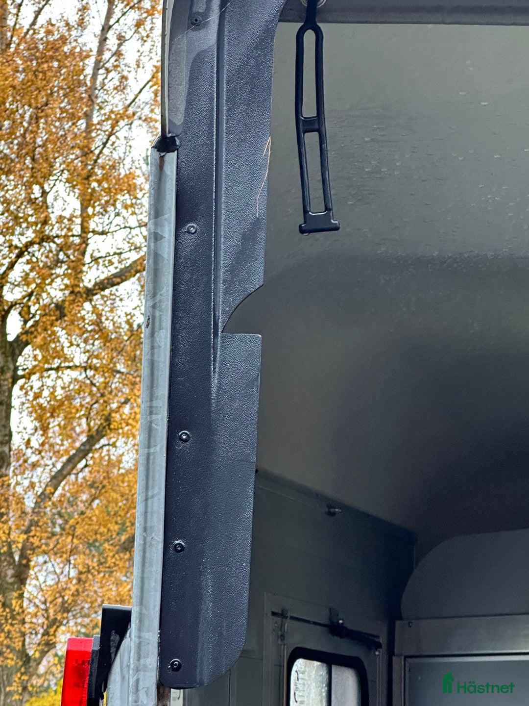 Hästtransporter  fordon & transport till salu: Cheval Liberte i Vittskövle - Annons 9