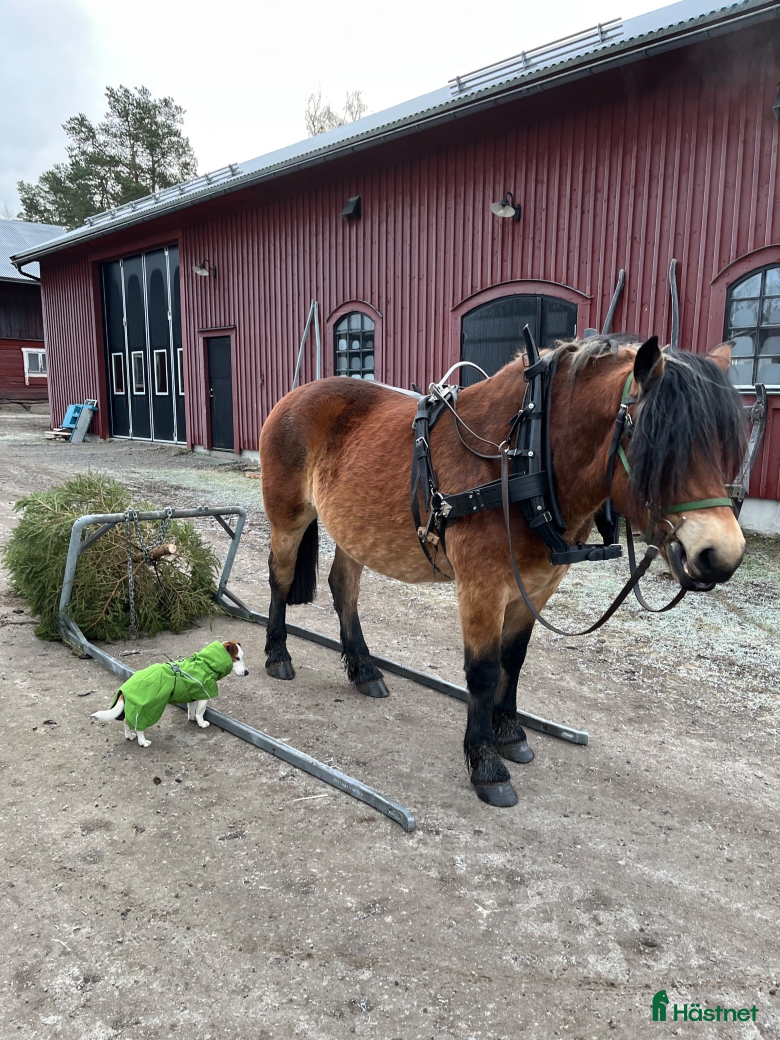 Körselar körning till salu: Tärnsjösele - Annons 9