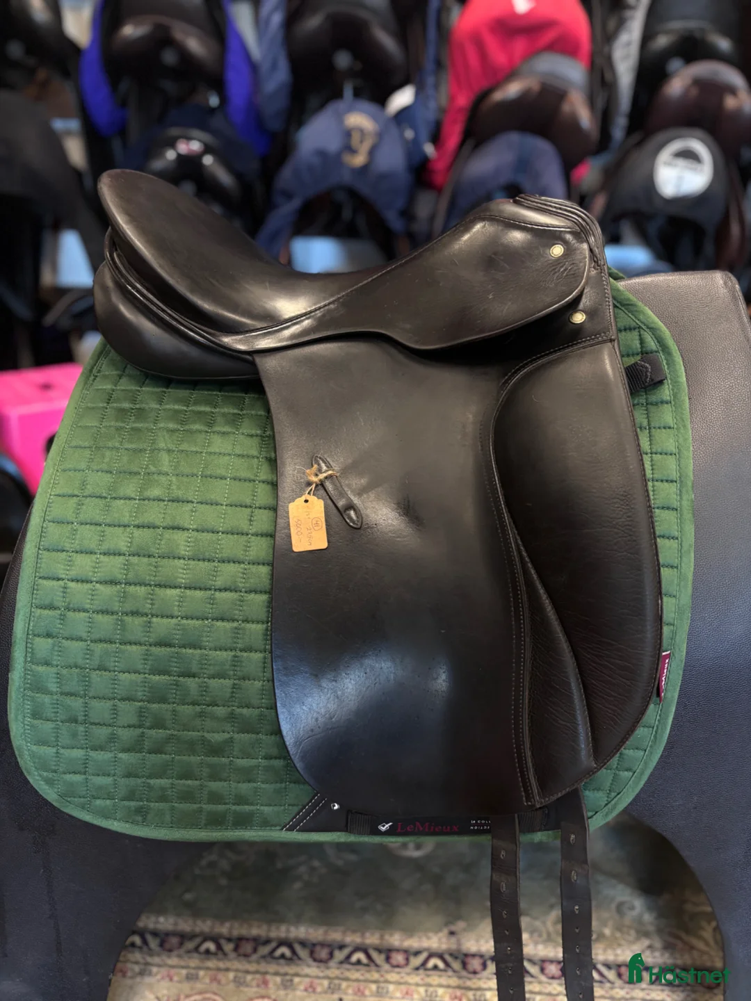 Sadlar hästutrustning till salu: Passier Grand Gilbert ✨ - Annons 2