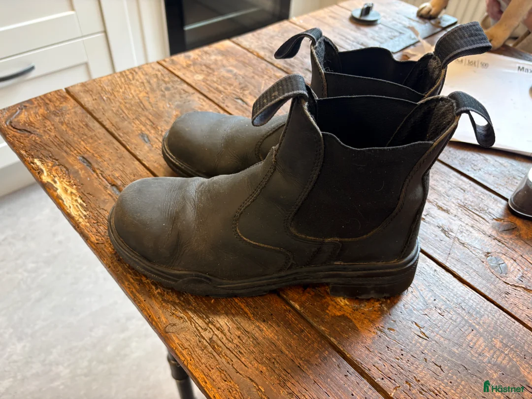 Ridstövlar ryttarutrustning till salu: Jodpurs stl 38/39 - Annons 3