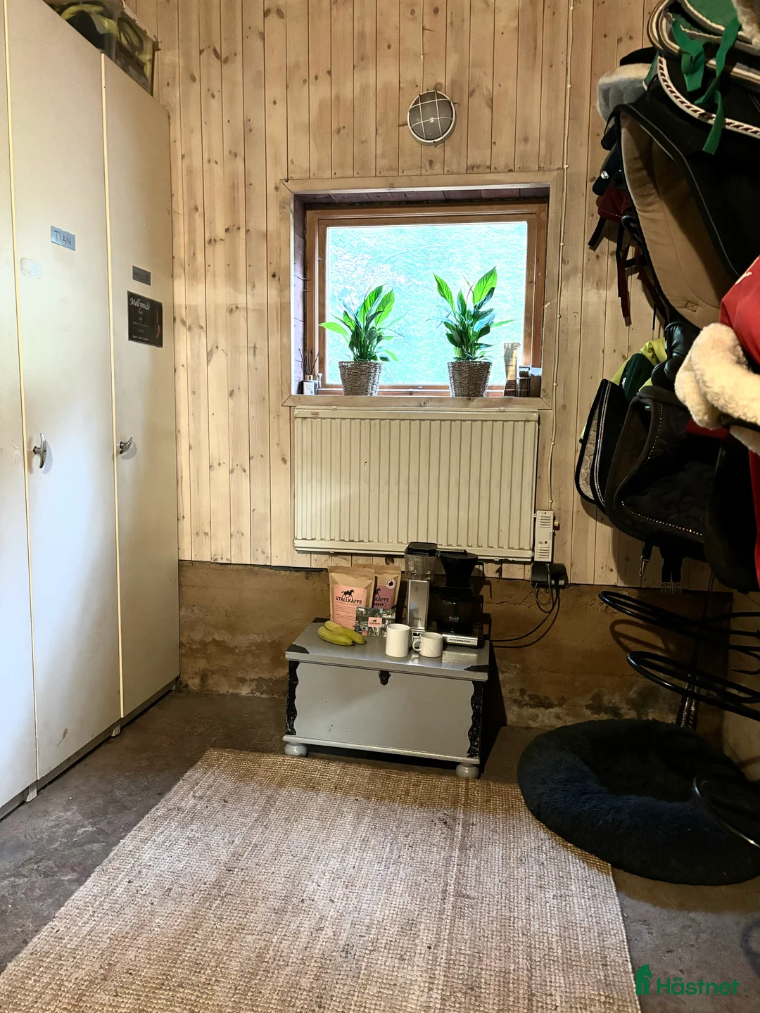  stallplats finnes: Ledig stallplats i fantastisk miljö!  - Annons 2