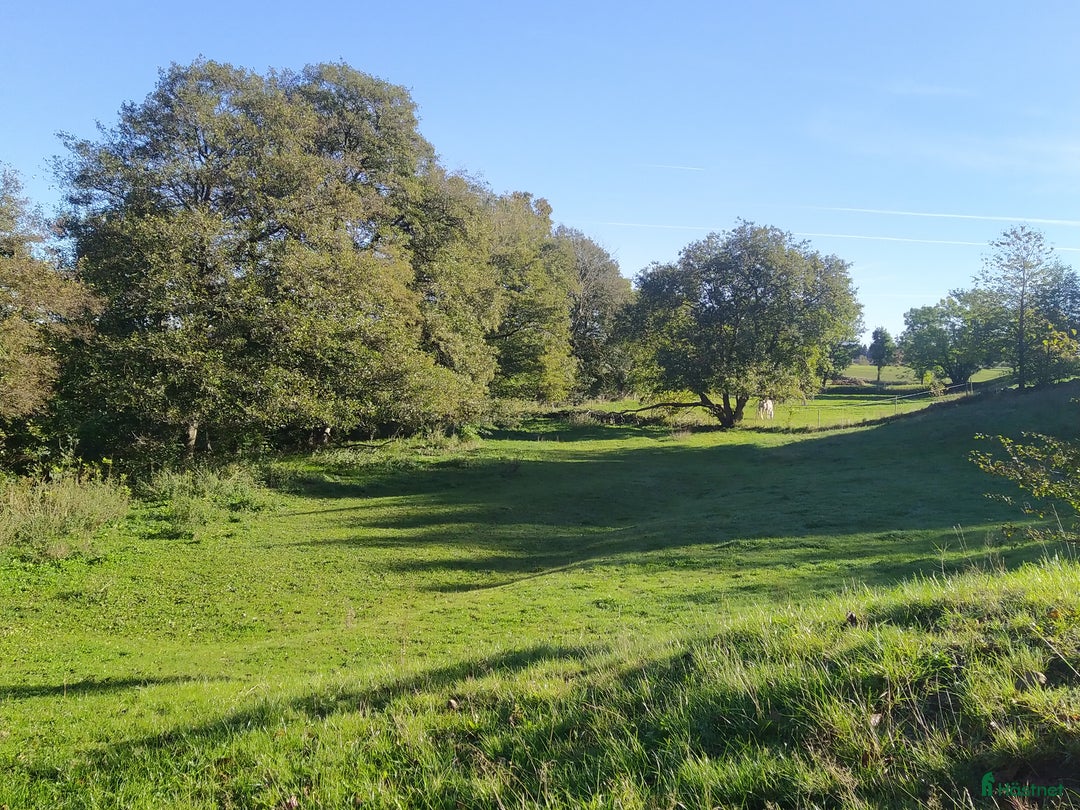 stallplats finnes: Hästboxar att hyra på en fantastisk tomt.  i Tomelilla - Annons 9