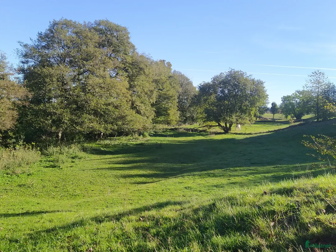  stallplats finnes: Hästboxar att hyra på en fantastisk tomt.  i Tomelilla - Annons 9