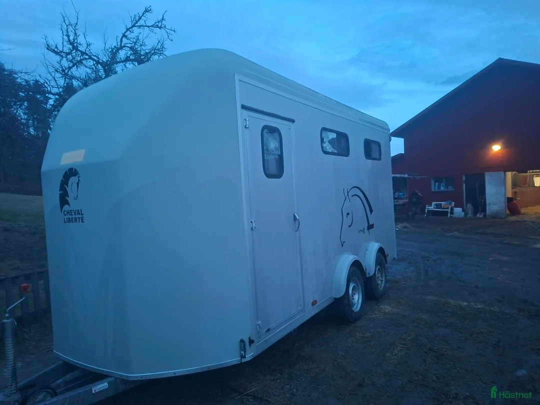 Hästtransporter  fordon & transport till salu: Cheval liberte maxi 4 - Annons 1