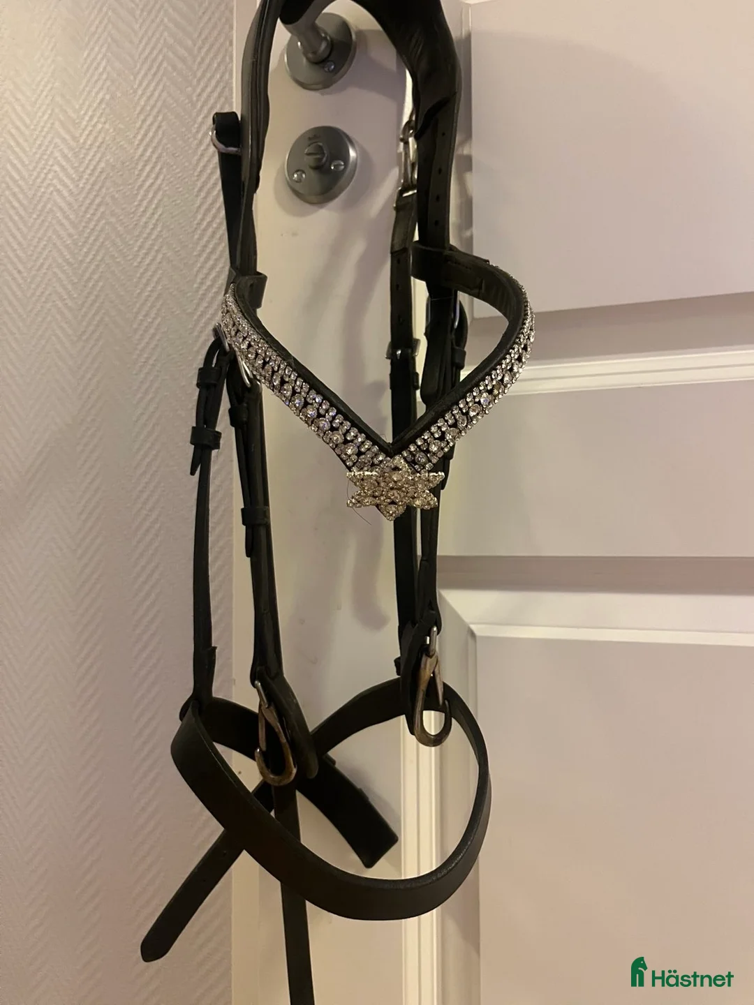 Träns hästutrustning till salu: Dyon,ps, hööks - Annons 1