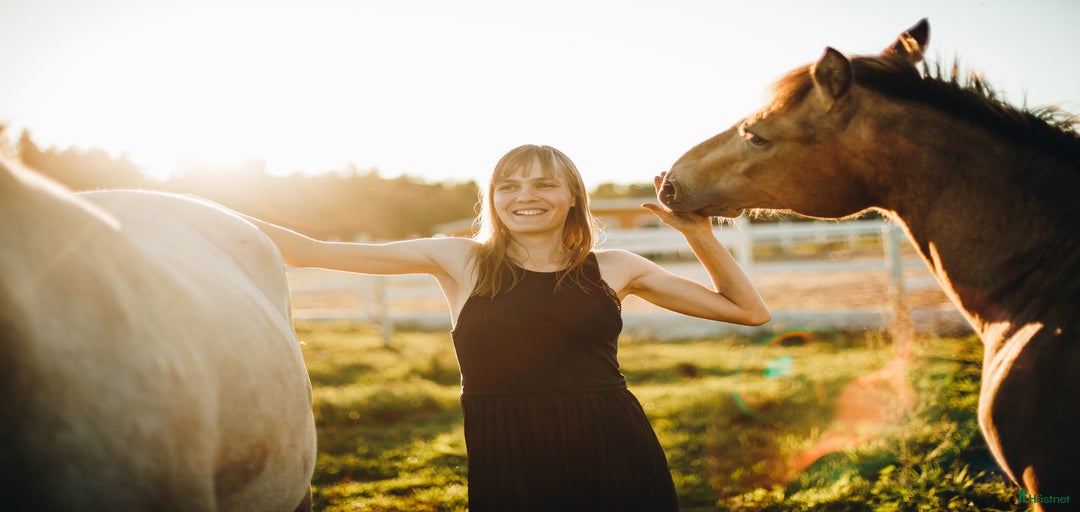 Galleribild {{count}}