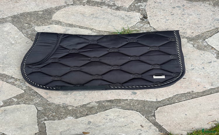 Schabrak & Vojlockar hästutrustning till salu i Visby - Annons 13