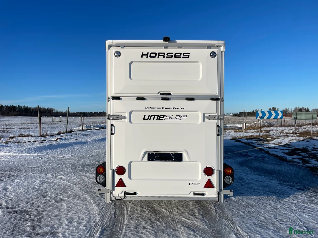 Hästtransporter  fordon & transport till salu: UME B50 - Baklängesvagnen med stuteri! - Annons 8
