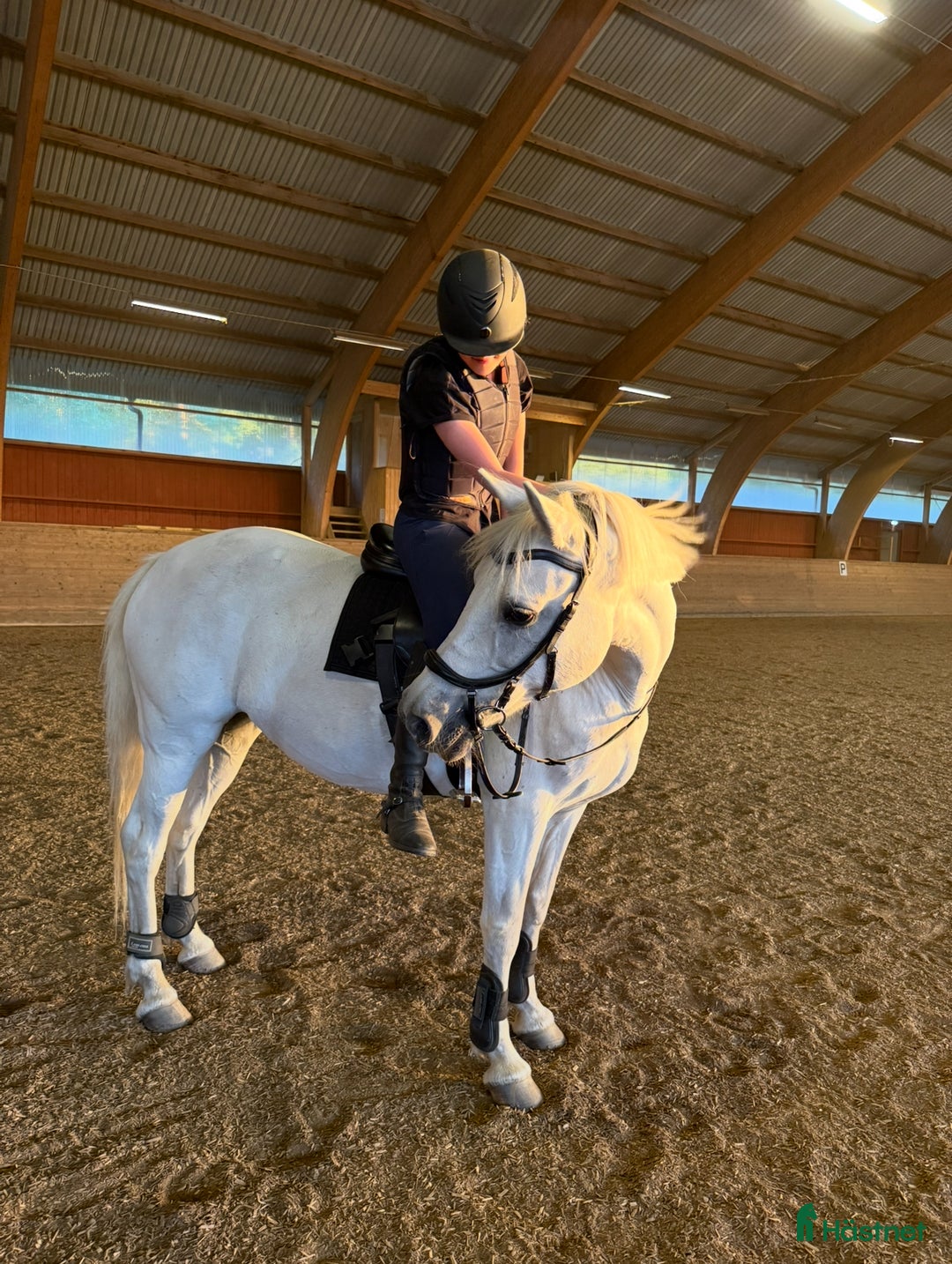  medryttarhäst finnes: Medryttare/halvfodervärd sökes i Alingsås - Annons 1