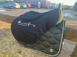 Sadlar hästutrustning Santa Cruz New Celine - Annons 9