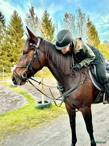 Galleribild {{count}}