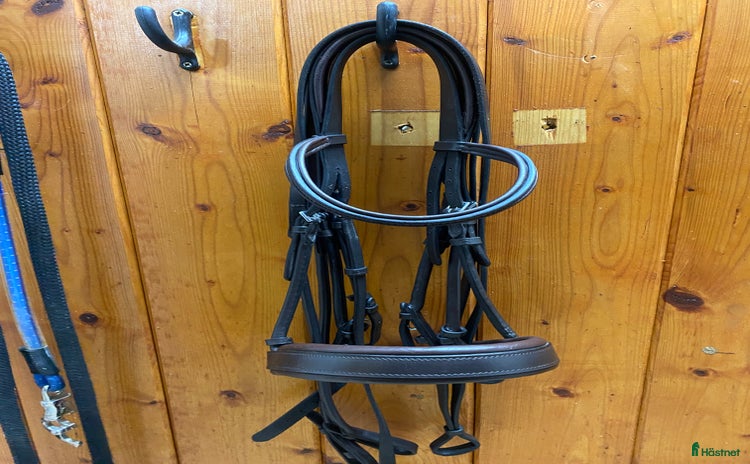 Träns hästutrustning till salu i Linghem - Annons 10