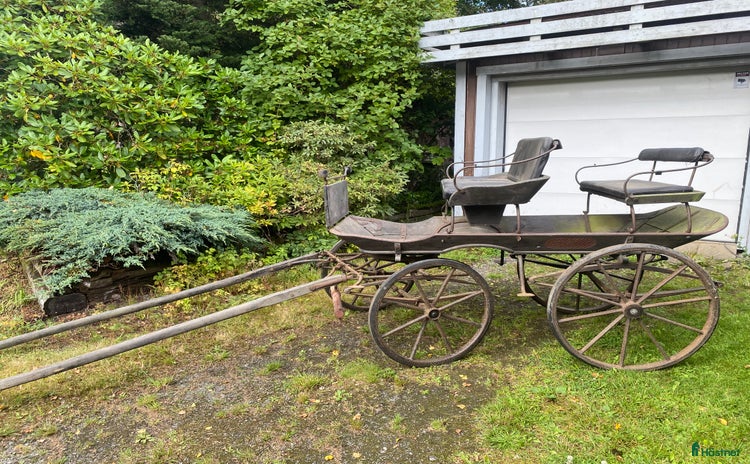Körvagnar körning till salu i Landvetter - Annons 12