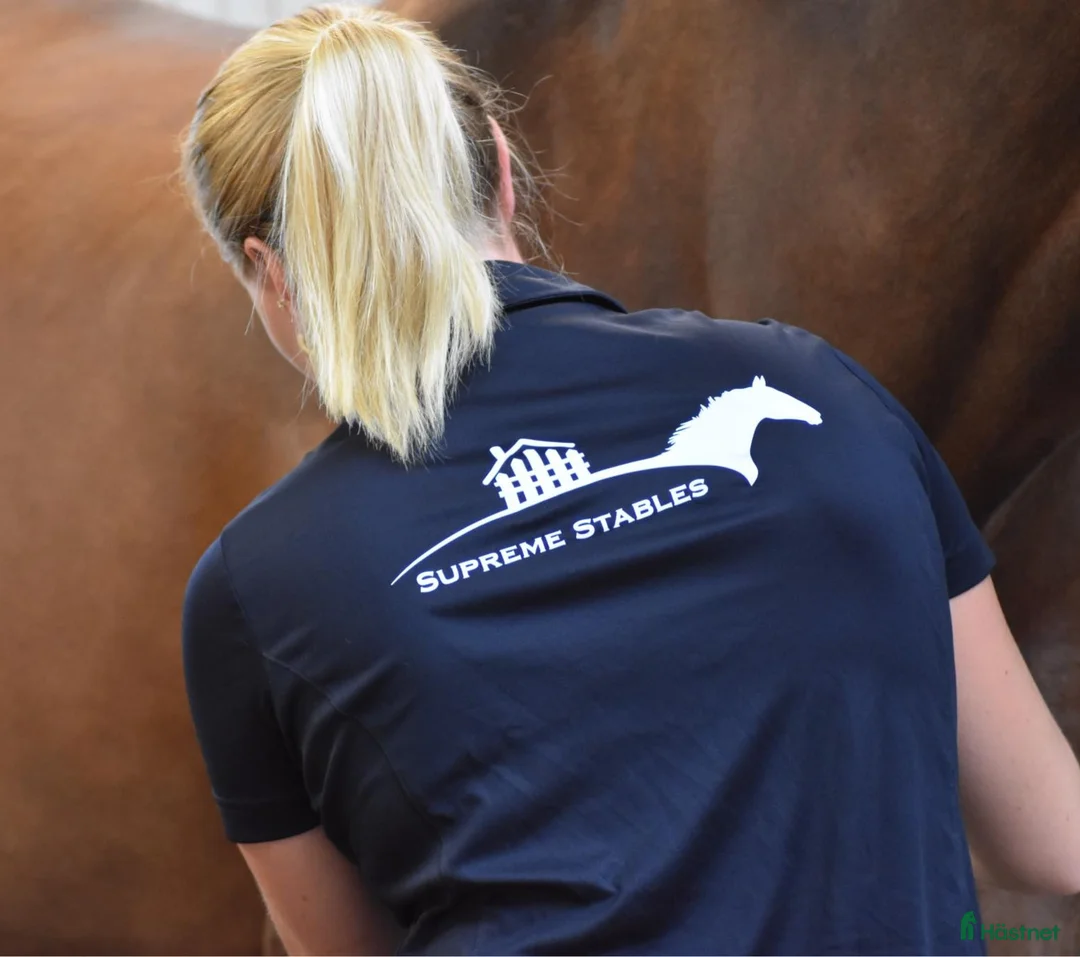  hästservice finnes: Rehabuppstallning/semesteruppstallning/inridning  i Kristdala - Annons 8