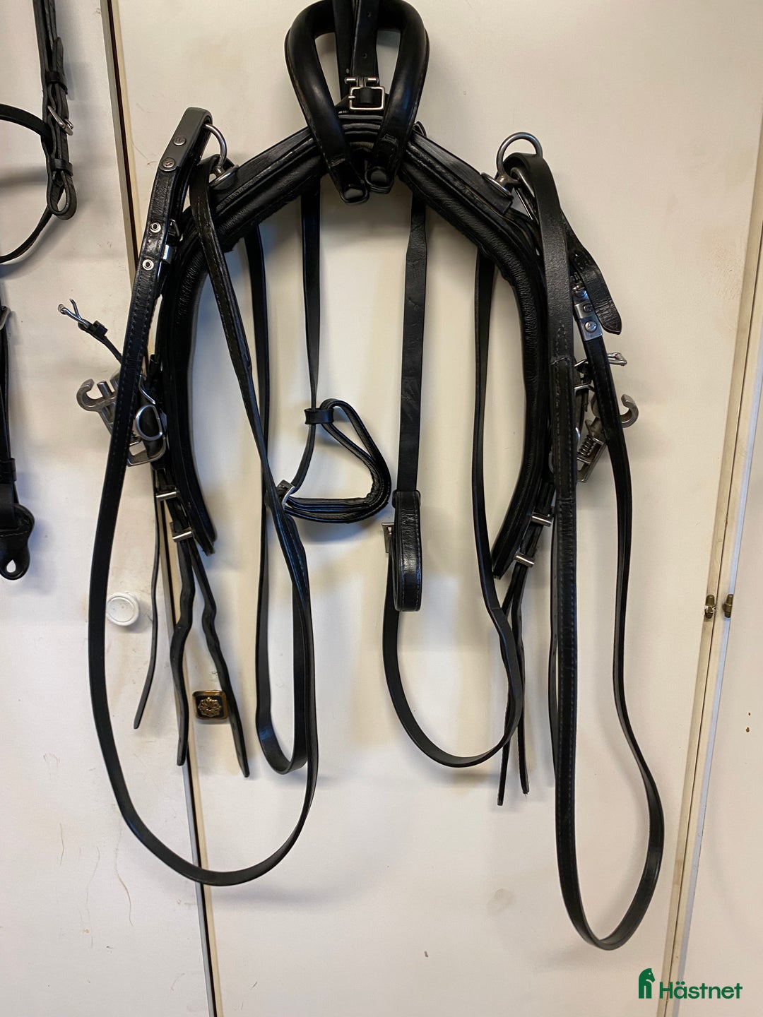 Travselar trav till salu: Travsele för ponny  i Njutånger - Annons 7