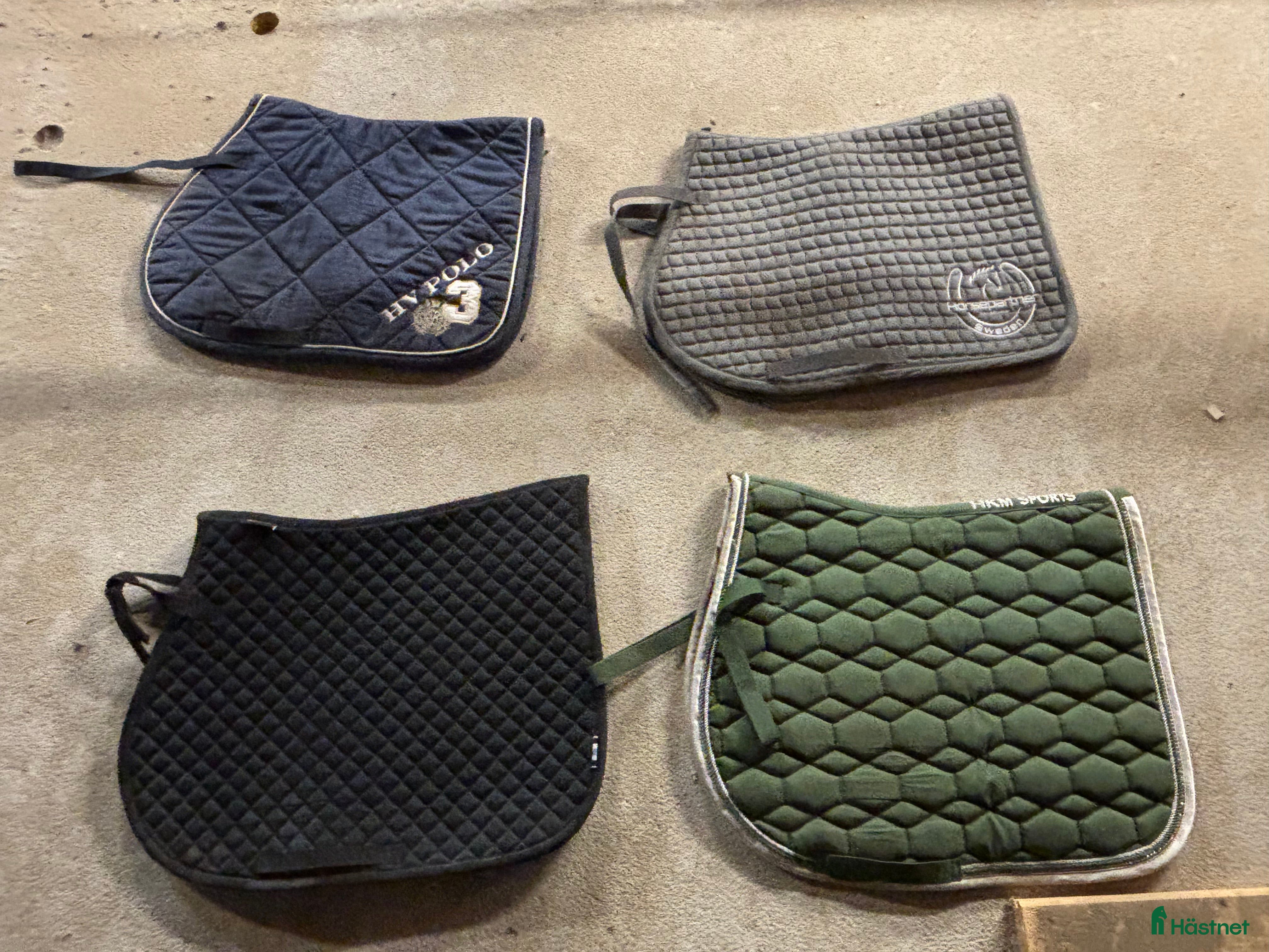 Schabrak & Vojlockar hästutrustning till salu: ⭐️SCHABRAK⭐️ i Viken - Annons 4