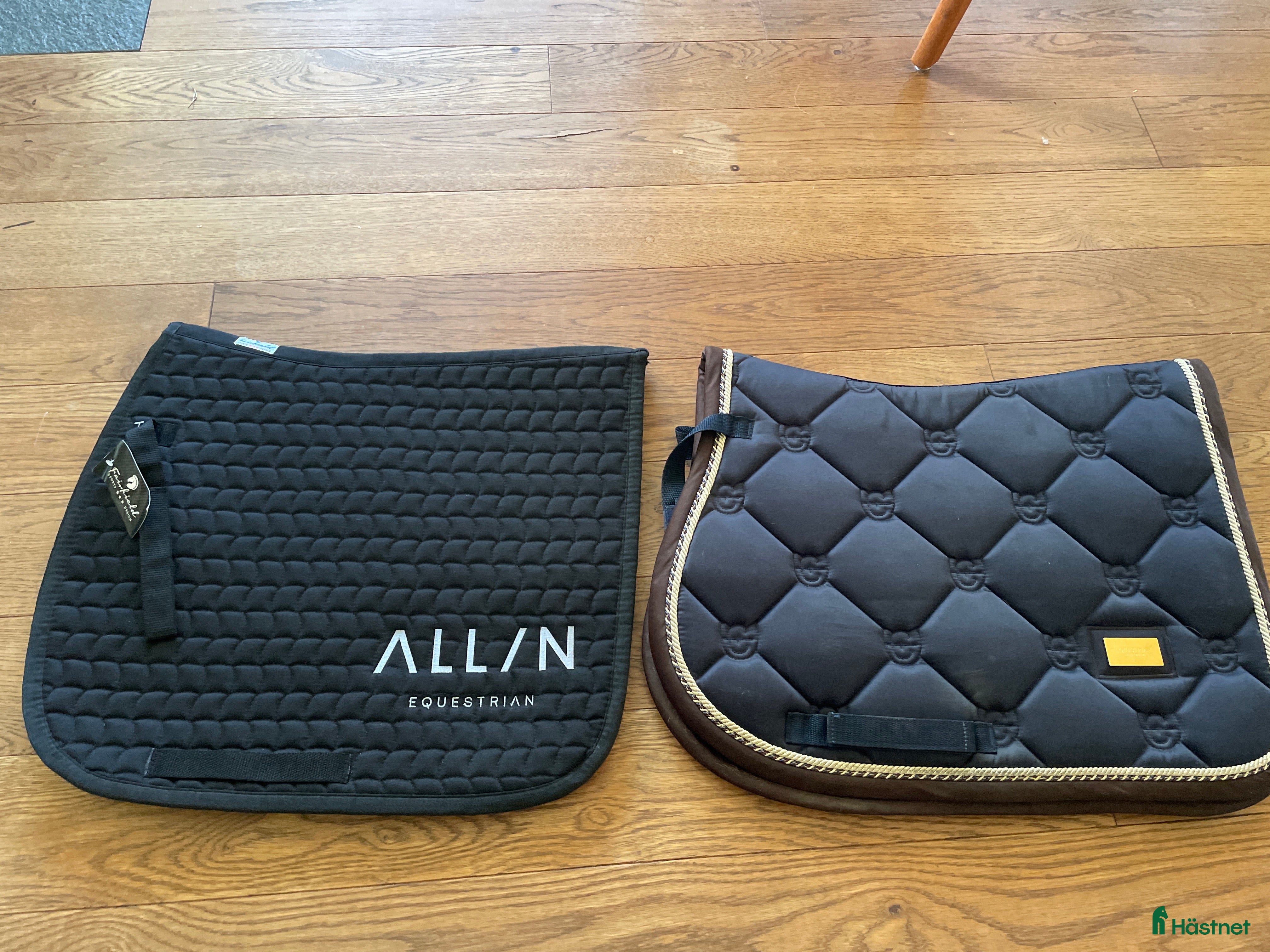 Schabrak & Vojlockar hästutrustning till salu: Schabrak ES och All in equestrian  i Åre - Annons 17