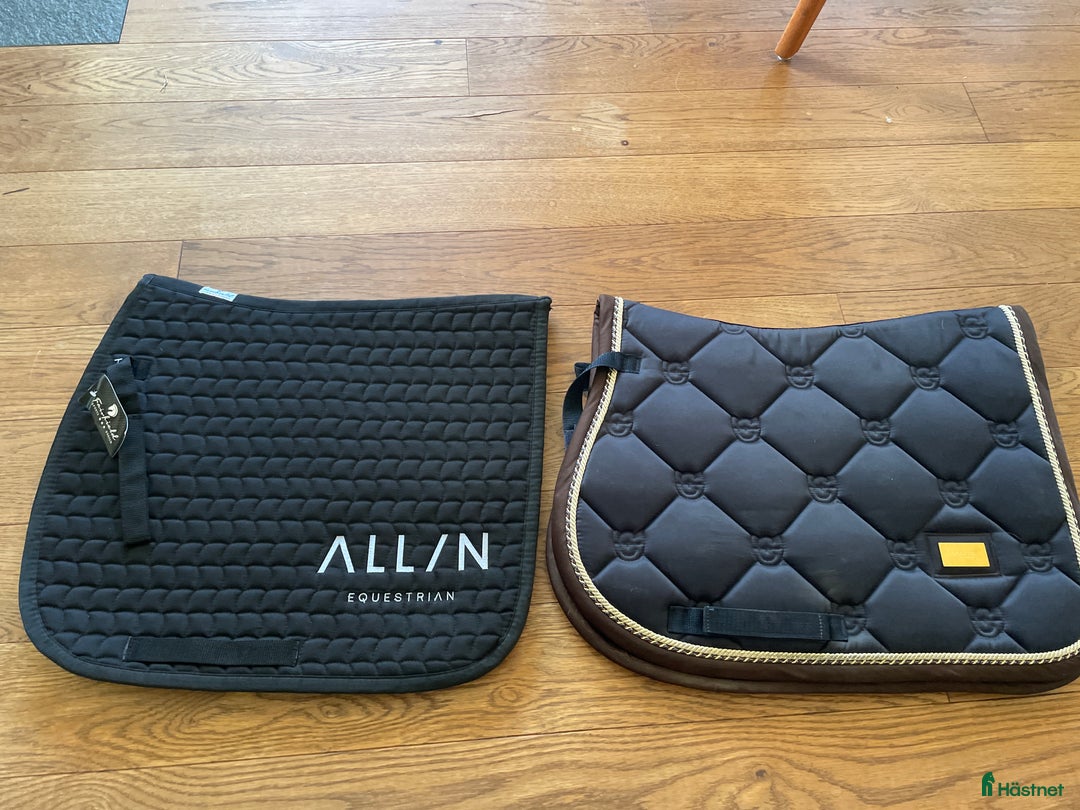 Schabrak & Vojlockar hästutrustning till salu: Schabrak ES och All in equestrian  i Åre - Annons 1