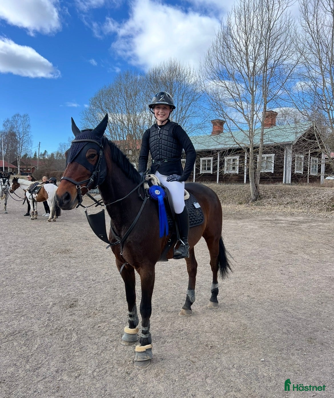 Hoppning hästar till salu: Pigg och arbetsvillig D-ponny - Annons 1