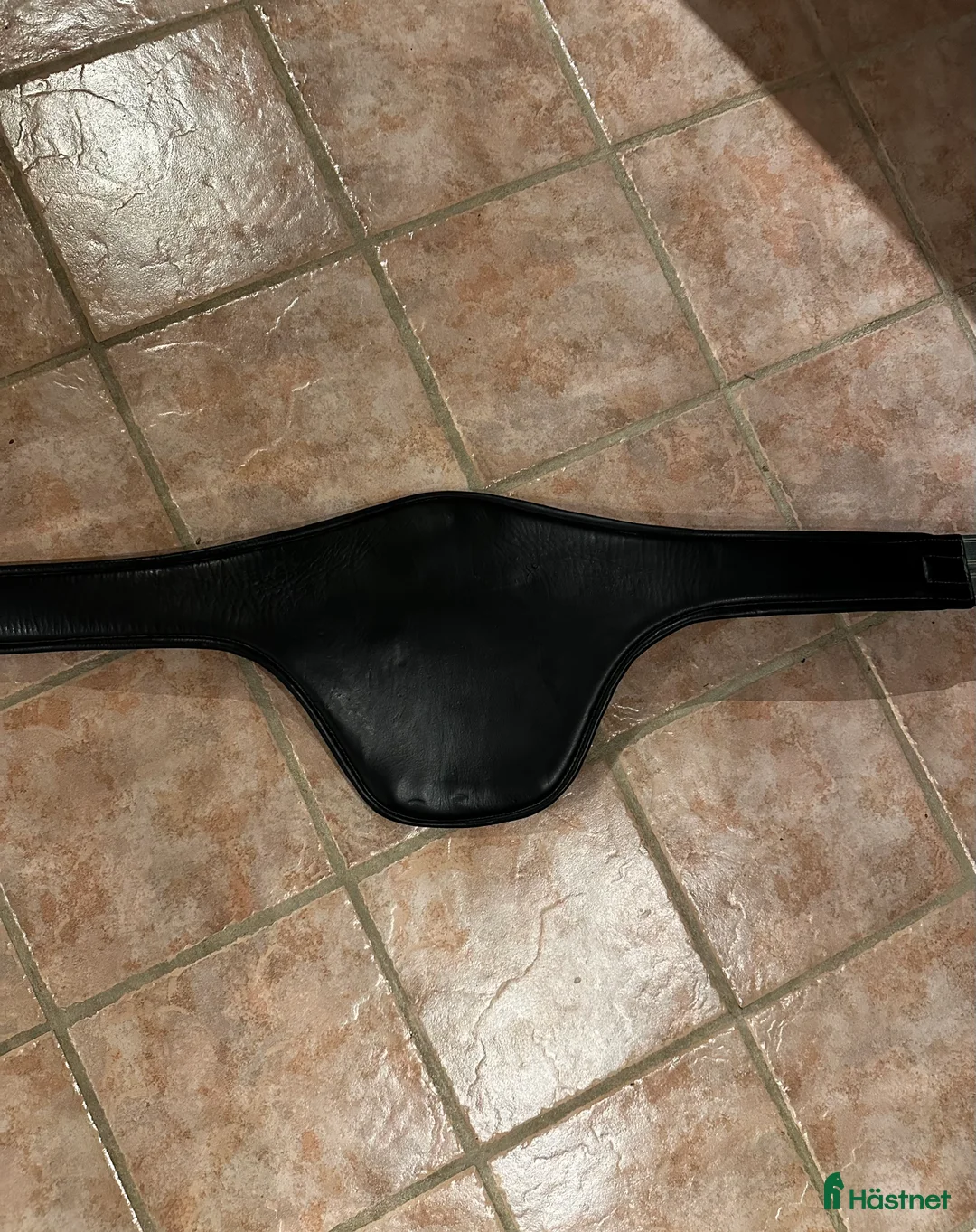 Sadeltillbehör hästutrustning till salu: Svart Magplatta  - Annons 3
